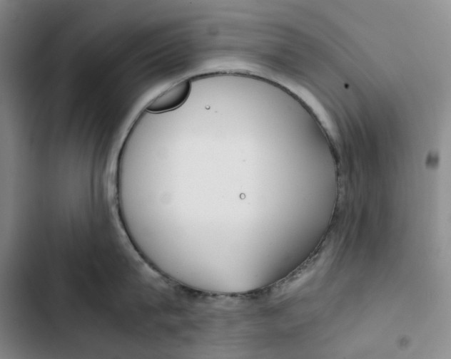 X0000102820815200809151014