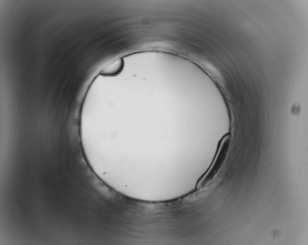 X0000102820816200809151014