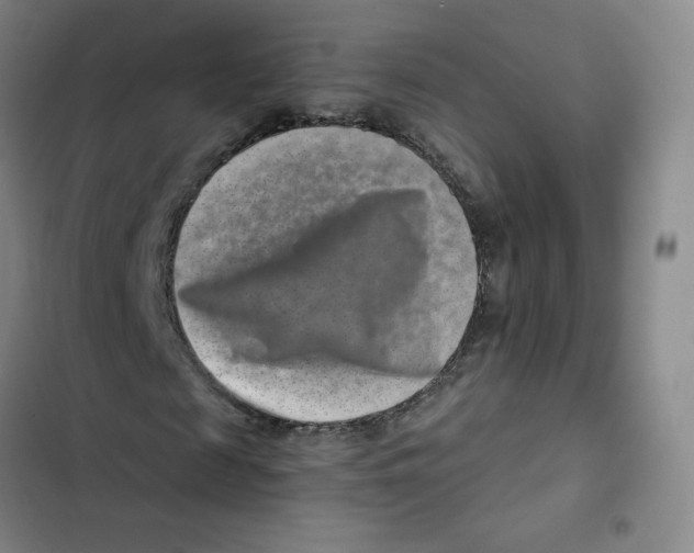 X0000102820817200809151013