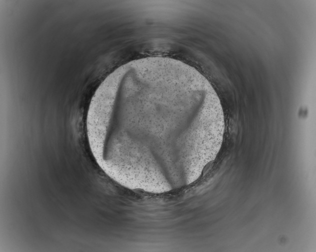 X0000102820818200809151013