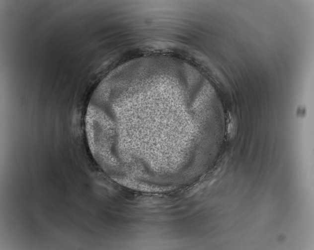 X0000102820819200809151013