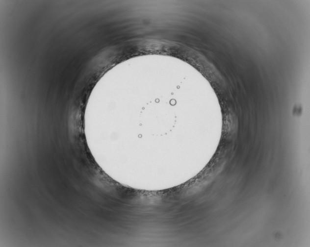 X0000102820820200809151013