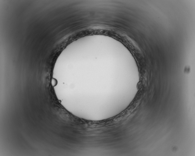 X0000102820821200809151013
