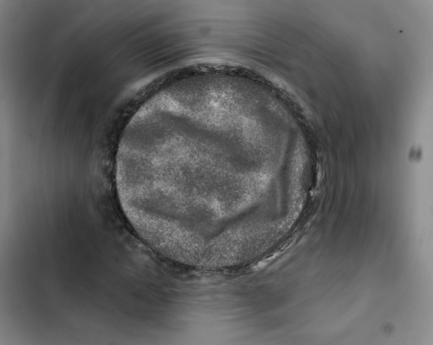 X0000102820822200809151013