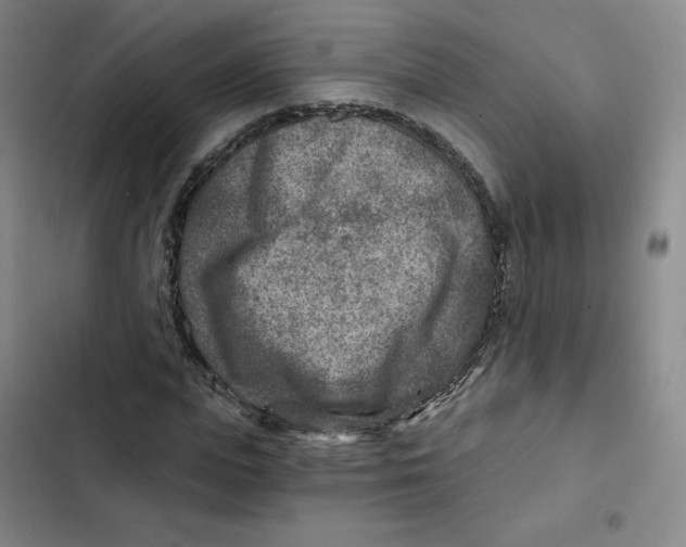 X0000102820823200809151013