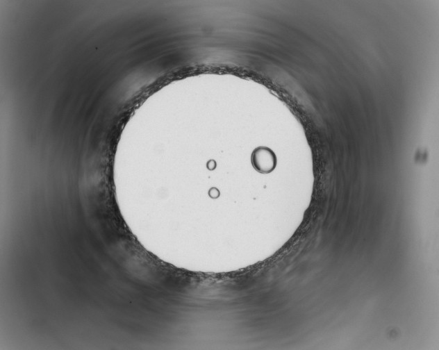 X0000102820824200809151013