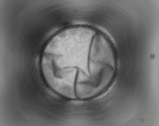 X0000102820825200809151013