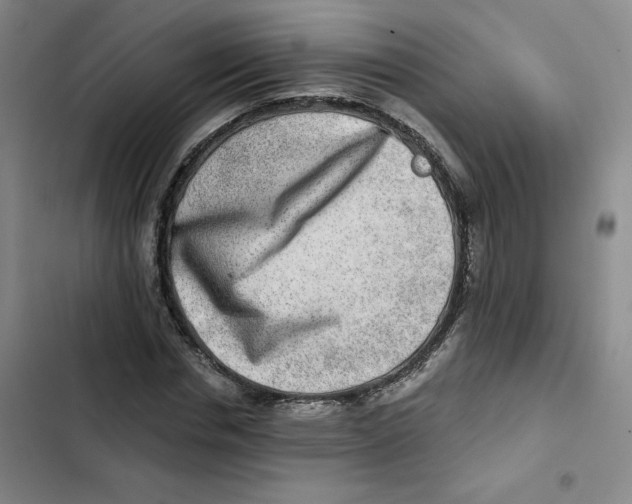 X0000102820826200809151013