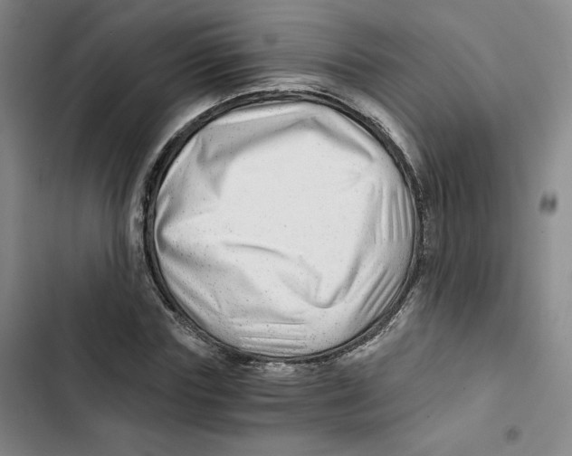 X0000102820827200809151013
