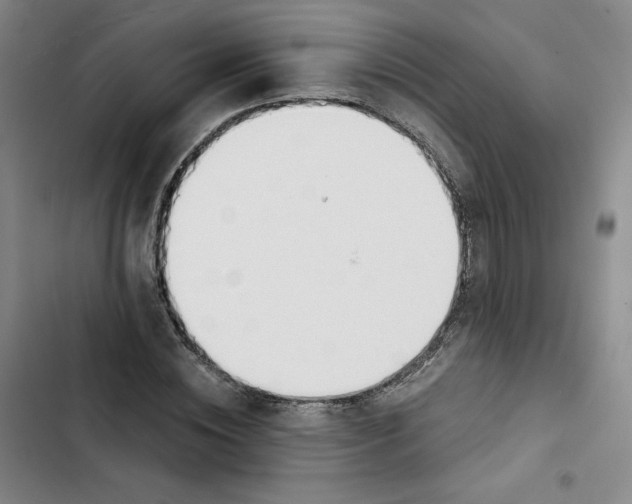 X0000102820828200809151013