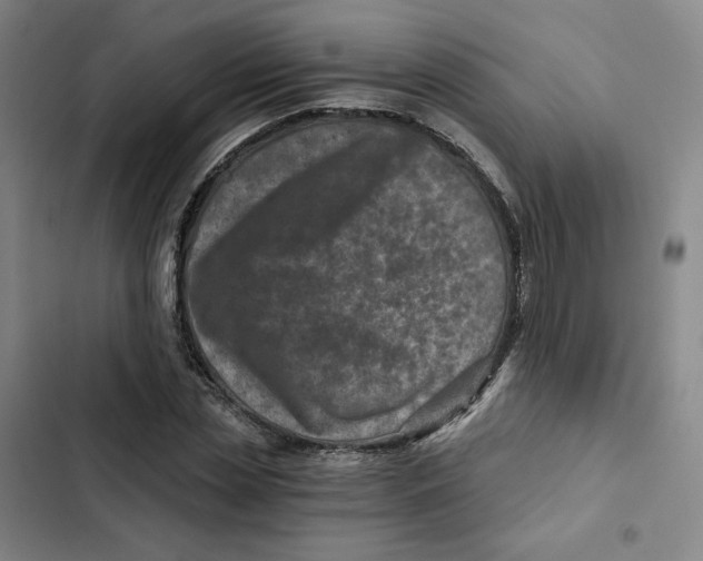 X0000102820829200809151013