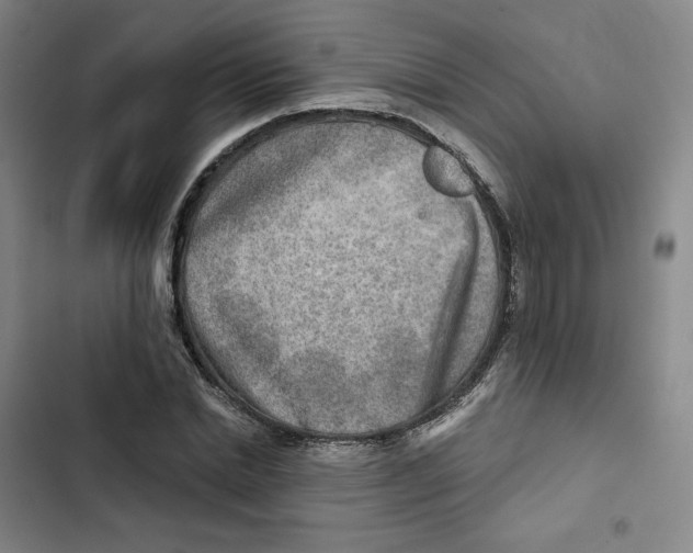 X0000102820830200809151013