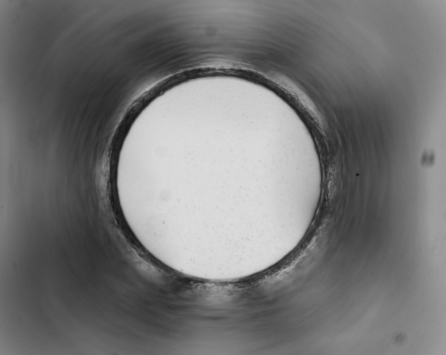 X0000102820831200809151013