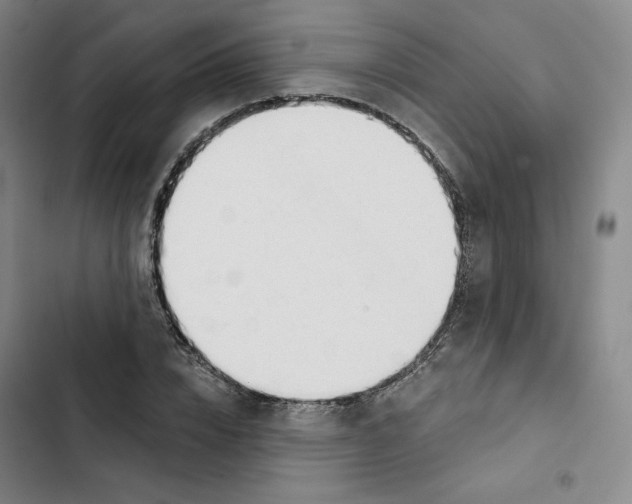 X0000102820832200809151013
