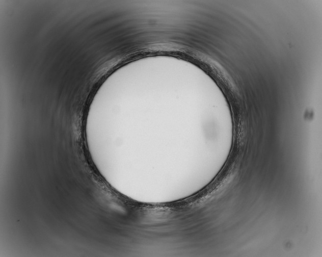 X0000102820833200809151013