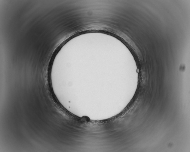 X0000102820834200809151013
