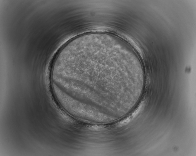 X0000102820835200809151013
