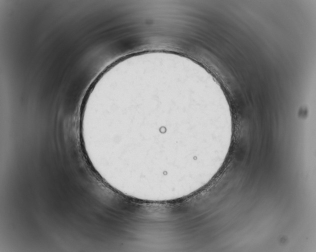 X0000102820836200809151013