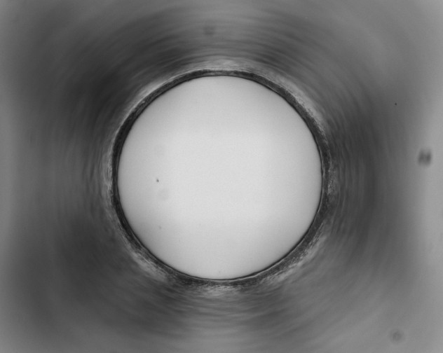 X0000102820837200809151013