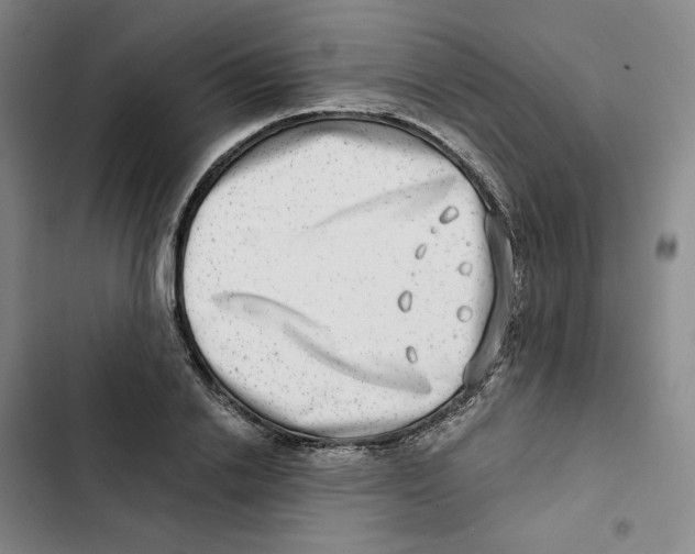 X0000102820838200809151013