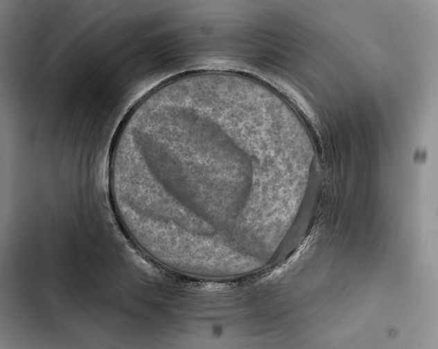 X0000102820839200809151013