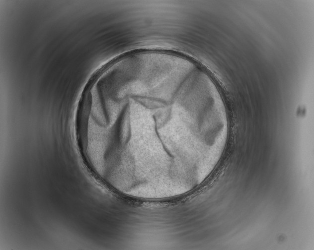 X0000102820840200809151013