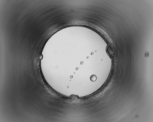 X0000102820841200809151014