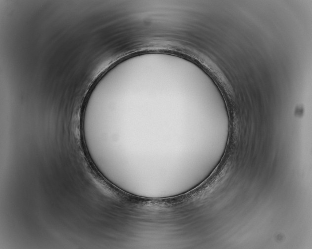 X0000102820842200809151014