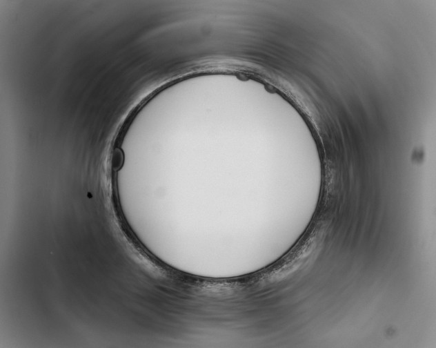 X0000102820843200809151014