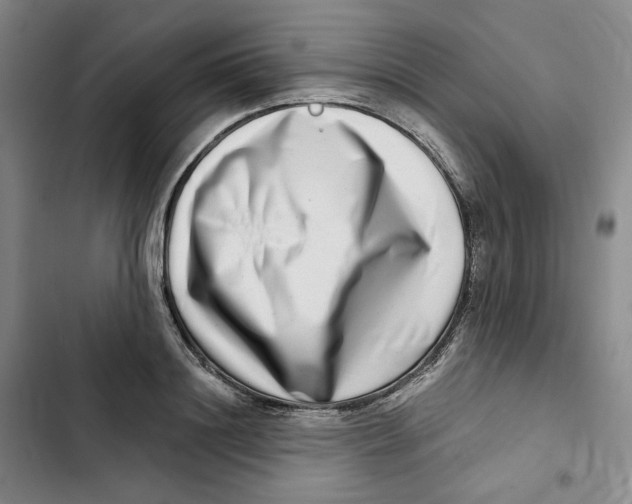 X0000102820844200809151014