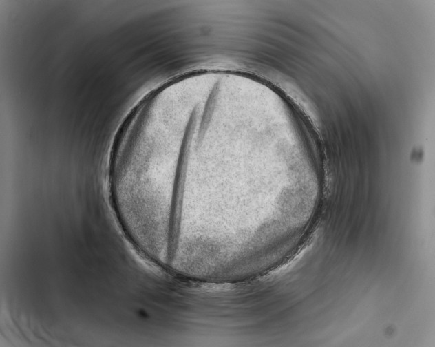X0000102820845200809151014