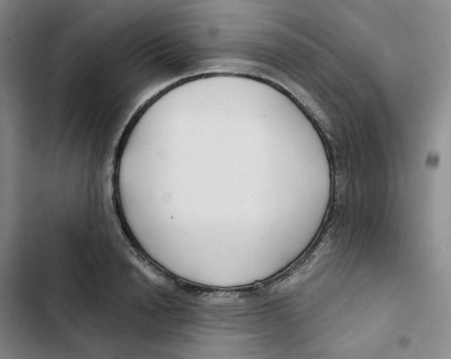 X0000102820846200809151014