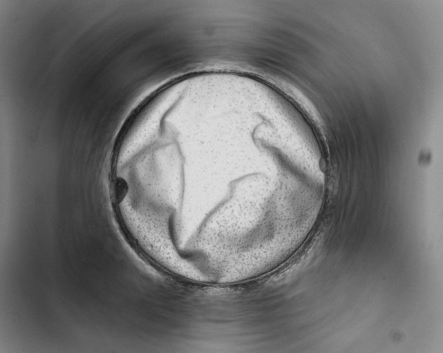 X0000102820847200809151014