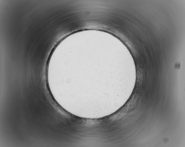 X0000102820848200809151014