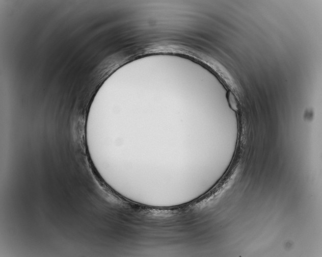 X0000102820849200809151014