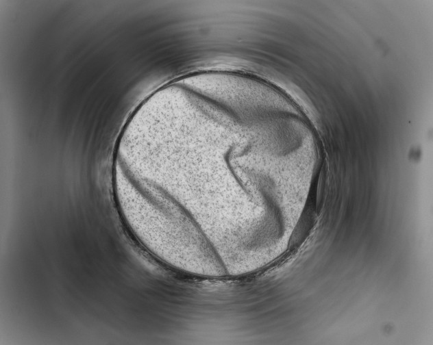 X0000102820850200809151014