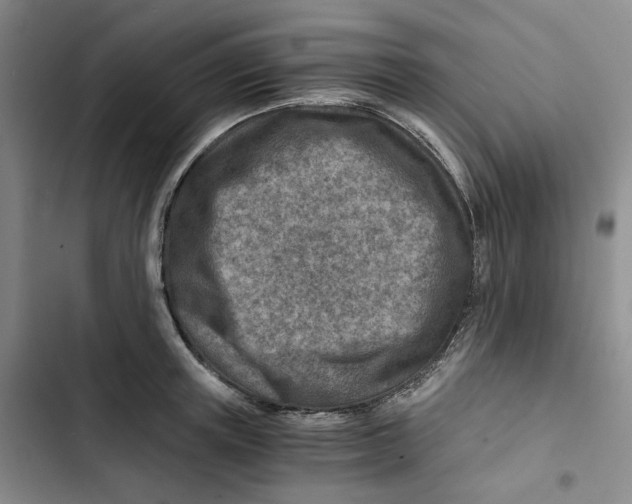 X0000102820851200809151014