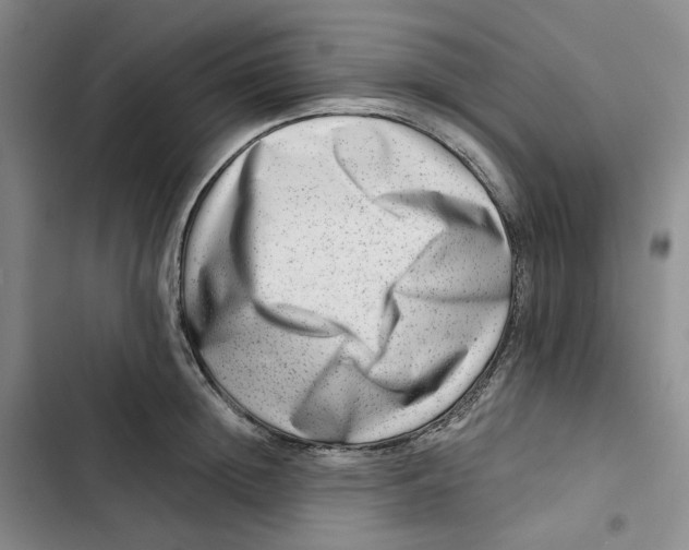 X0000102820852200809151014