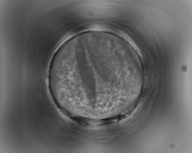 X0000102820853200809151014