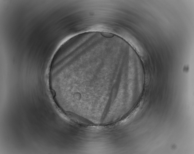 X0000102820854200809151014