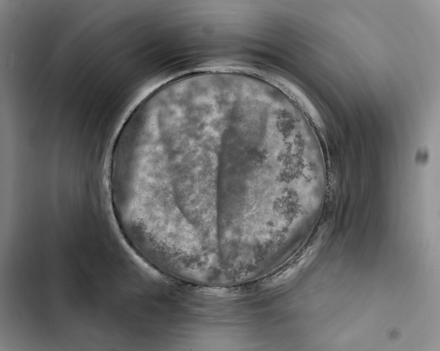 X0000102820855200809151014