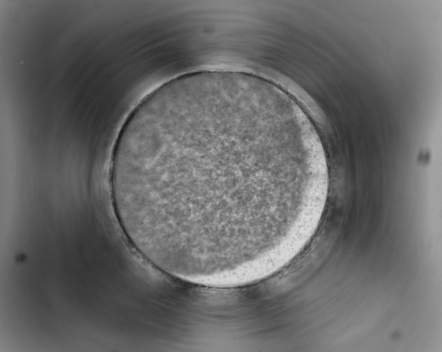 X0000102820856200809151014