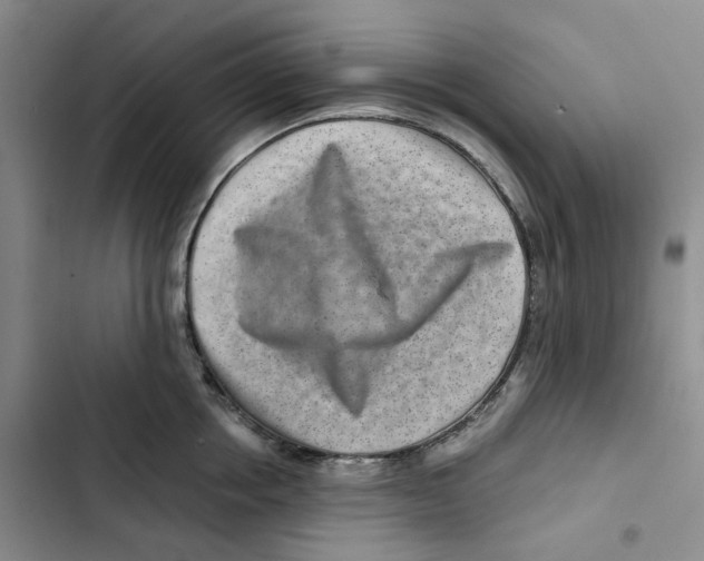 X0000102820858200809151014