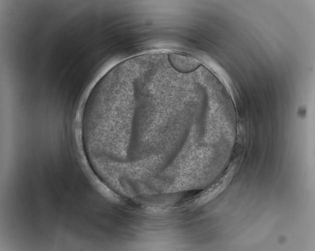 X0000102820859200809151014