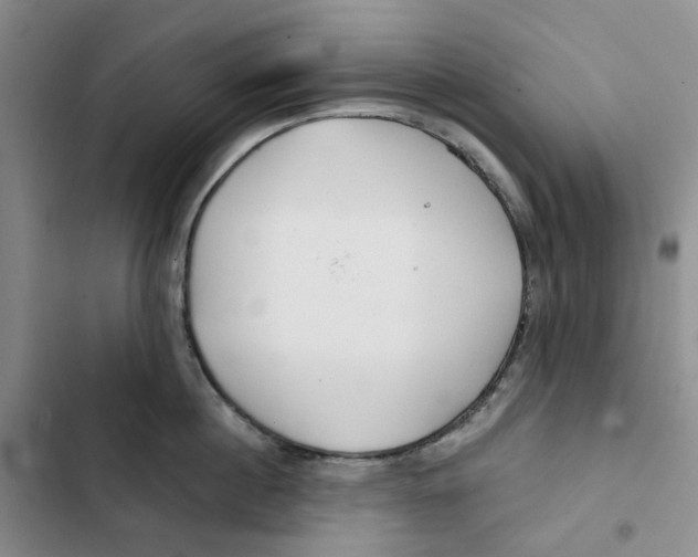 X0000102820860200809151014