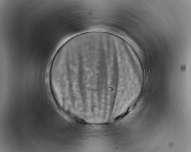 X0000102820862200809151014