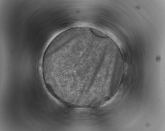 X0000102820863200809151014