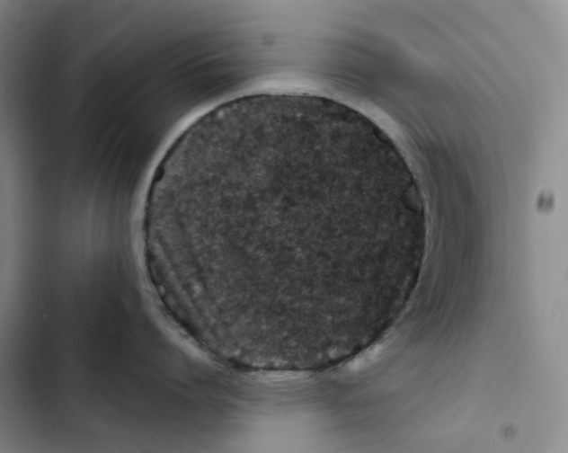 X0000102820864200809151014