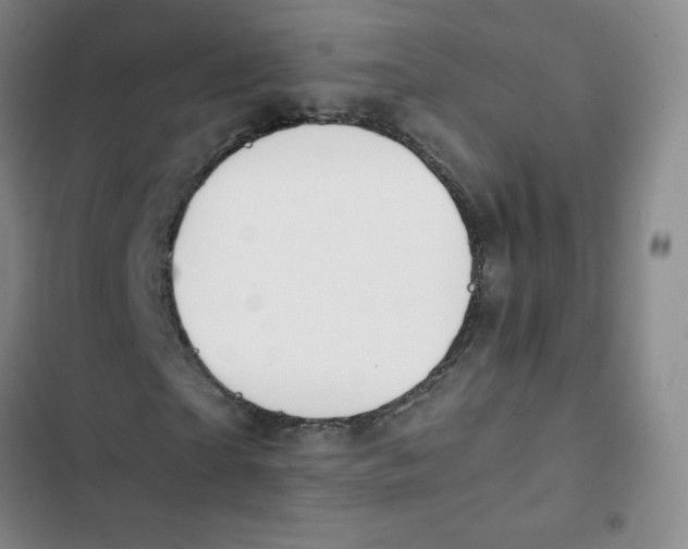 X0000102820865200809151013