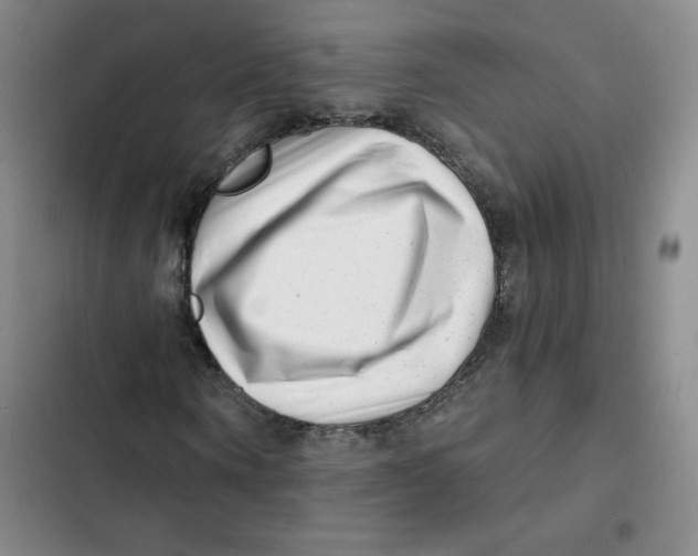 X0000102820866200809151013